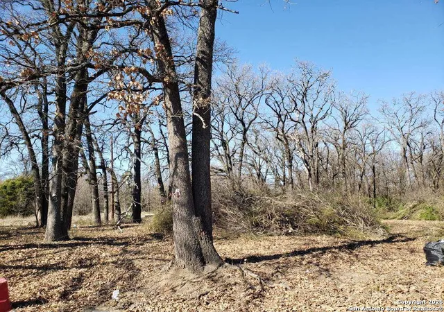 12th image of 11929 Brookvalley, Balch Springs, TX 75180 | MLS# 1907691