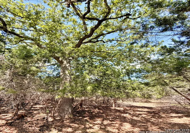 5th image of Lot 3 Nakomis Dr, Bandera, TX 78003 | MLS# 1907693