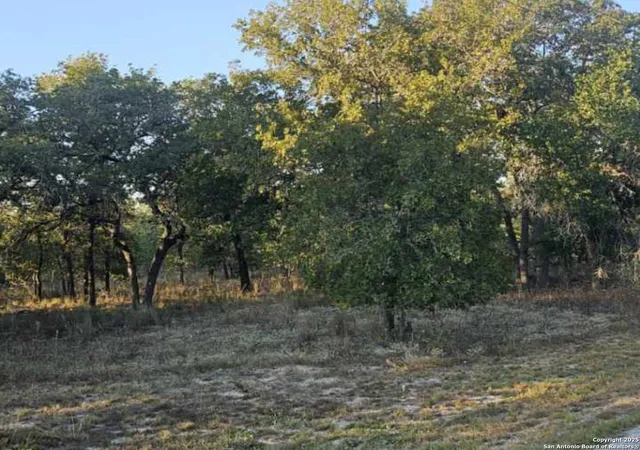Photo 3 of Sale Pending at 237 Oak Valley, La Vernia, TX 78121 | MLS# 1907735 | Listing updated on 2025-09-19