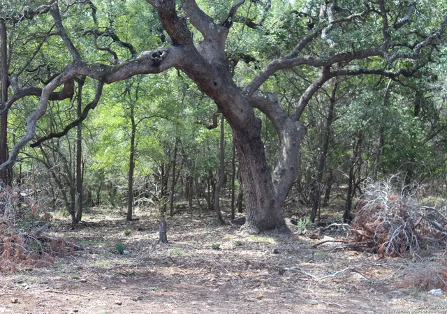 Photo 3 of Land for sale at 151 Eden Ranch, Canyon Lake, TX 78133 | MLS# 1907910 | Listing updated on 2026-02-12