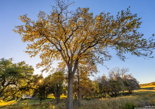 5th image of 326 Lehne Ln, Fredericksburg, TX 78624 | MLS# 1908020