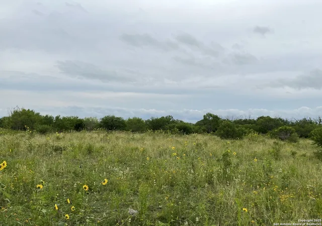 Photo 3 of Land for sale at 14895 Wheeler Rd, Atascosa, TX 78002 | MLS# 1908583 | Listing updated on 2025-12-05