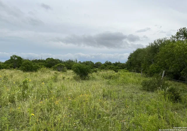 Photo 4 of Land for sale at 14895 Wheeler Rd, Atascosa, TX 78002 | MLS# 1908583 | Listing updated on 2025-12-05