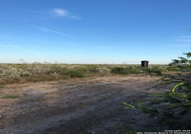 3rd image of 197 Live Oak Spur, George West, TX 78022 | MLS# 1909006