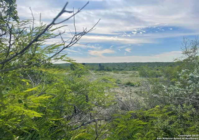 1st image of 197 Live Oak Spur, George West, TX 78022 | MLS# 1909006