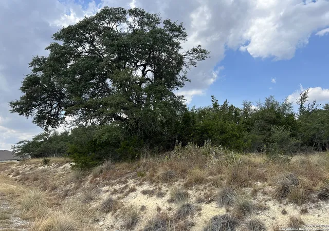 Photo 3 of Land for sale at 113 Daniel Jackson, Blanco, TX 78606 | MLS# 1909138 | Listing updated on 2025-09-30