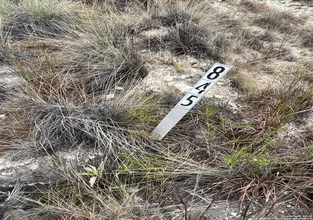 Photo 4 of Land for sale at 113 Daniel Jackson, Blanco, TX 78606 | MLS# 1909138 | Listing updated on 2025-09-30