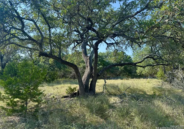 1st image of 2071 Rolling River Vw, Spring Branch, TX 78070 | MLS# 1909272