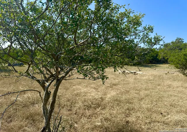 2nd image of 2071 Rolling River Vw, Spring Branch, TX 78070 | MLS# 1909272