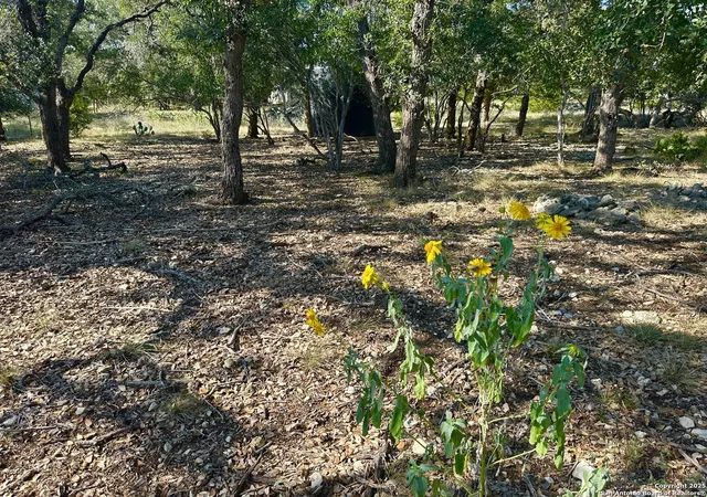 4th image of 2071 Rolling River Vw, Spring Branch, TX 78070 | MLS# 1909272