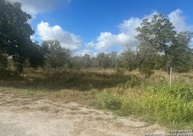 1st image of 665 Clear Lake, Poteet, TX 78065 | MLS# 1909387