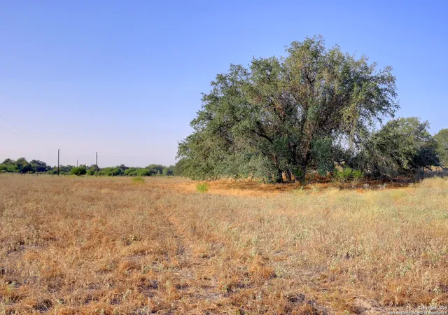 Photo 3 of Land for sale at 353 Pr Dax, Pleasanton, TX 78064 | MLS# 1909388 | Listing updated on 2026-03-15