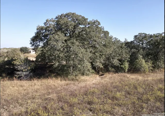 Photo 3 of Land for sale at 3667 County Road 427, Stockdale, TX 78160 | MLS# 1909576 | Listing updated on 2025-10-03