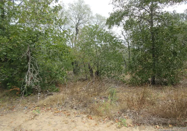 Photo 4 of Sale Pending at 22965 Addison, San Antonio, TX 78264 | MLS# 1910080 | Listing updated on 2026-03-02