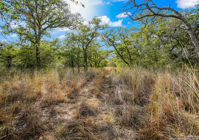 4th image of 914 Swallows Ln, Seguin, TX 78155 | MLS# 1910339