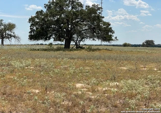 11th image of 713 County Road 232, Floresville, TX 78114 | MLS# 1910413