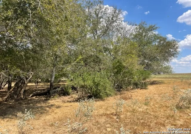 8th image of 843 County Road 232, Floresville, TX 78114 | MLS# 1910415