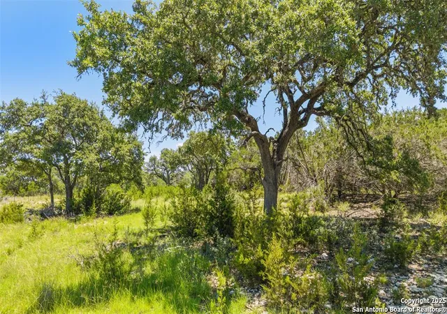 2nd image of 938 Lindeman Lane, Blanco, TX 78606 | MLS# 1910433