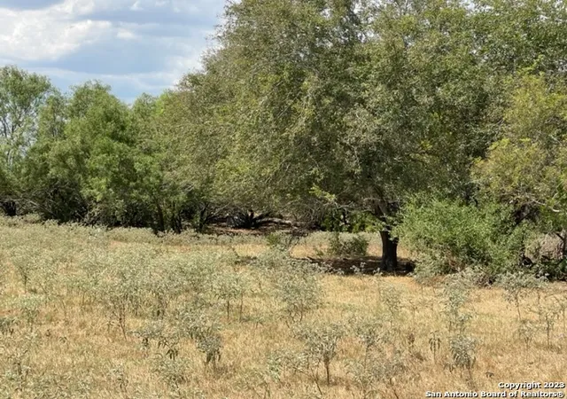 1st image of 1039 County Road 232, Floresville, TX 78114 | MLS# 1910473