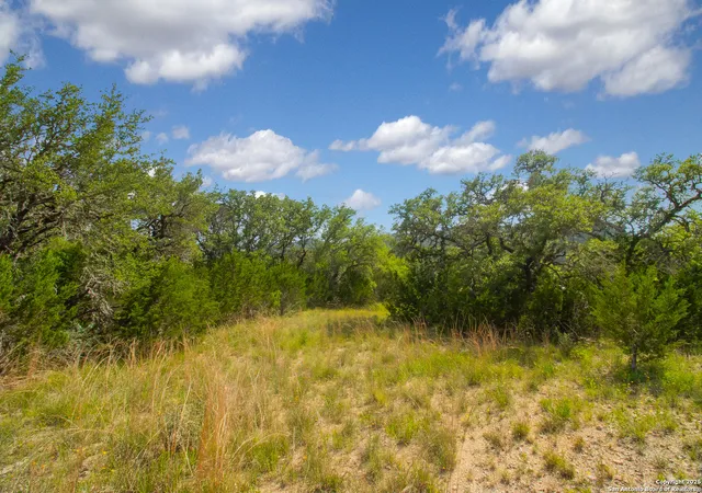 36th image of 000 Wallace Creek Rd, Medina, TX 78055 | MLS# 1910767