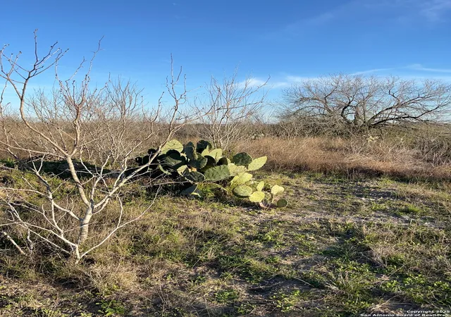 image of 132 County Road 135, George West, TX 78022 | MLS# 1910923