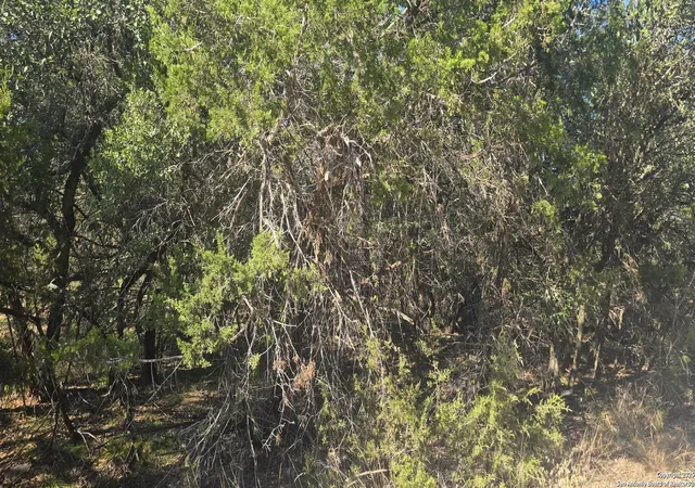 Photo 2 of Sale Pending at 716 Line Camp Rd, Spring Branch, TX 78070 | MLS# 1911100 | Listing updated on 2026-04-08