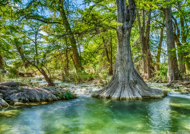 Land for sale at 192 Fm 2828, Medina, TX 78055 | MLS# 1911137