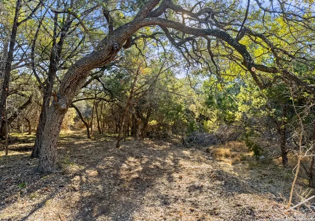 Photo 1 of Land for sale at 2095 Desiree Street, Canyon Lake, TX 78133 | MLS# 1911515 | Listing updated on 2026-08-15