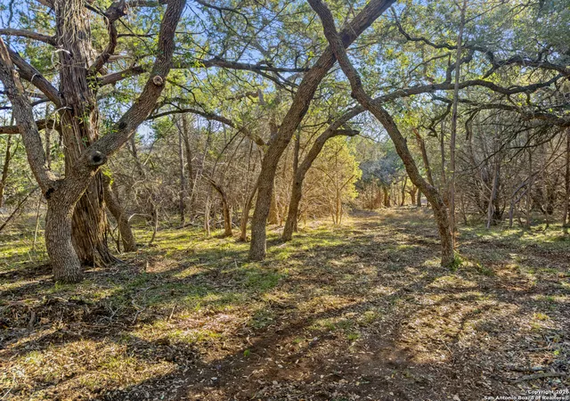 Photo 2 of Land for sale at 2095 Desiree Street, Canyon Lake, TX 78133 | MLS# 1911515 | Listing updated on 2026-08-15