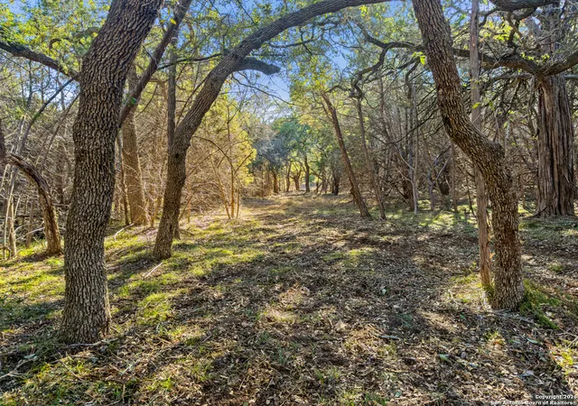 Photo 3 of Land for sale at 2095 Desiree Street, Canyon Lake, TX 78133 | MLS# 1911515 | Listing updated on 2026-08-15