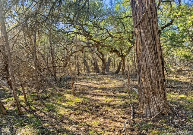 Photo 3 of Land for sale at 2095 Desiree Street, Canyon Lake, TX 78133 | MLS# 1911515 | Listing updated on 2026-08-15