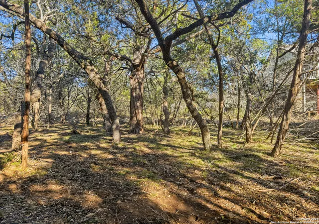 Photo 4 of Land for sale at 2095 Desiree Street, Canyon Lake, TX 78133 | MLS# 1911515 | Listing updated on 2026-08-15