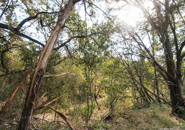 3rd image of 2581 Patterson Creek Road, Leakey, TX 78873 | MLS# 1911769