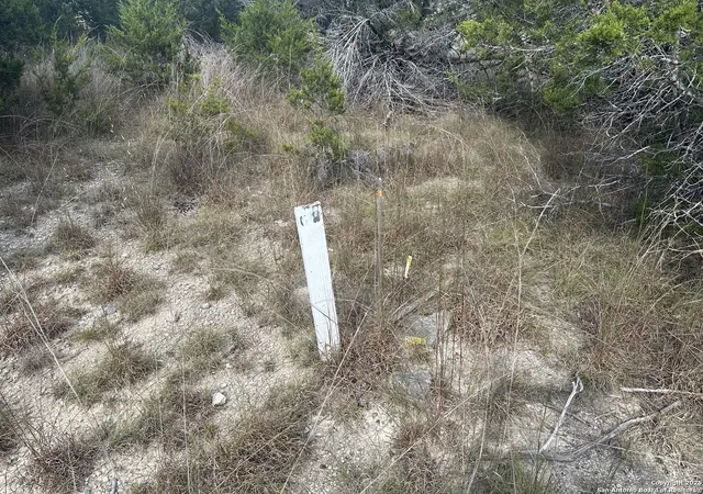 Photo 4 of Sale Pending at 211 Restless Wind, Spring Branch, TX 78070 | MLS# 1911843 | Listing updated on 2025-10-21