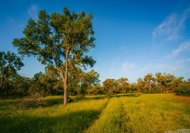 Photo 1 of Sale Pending at 000 Lone Oak Holw, Spring Branch, TX 78070 | MLS# 1911970 | Listing updated on 2026-02-18