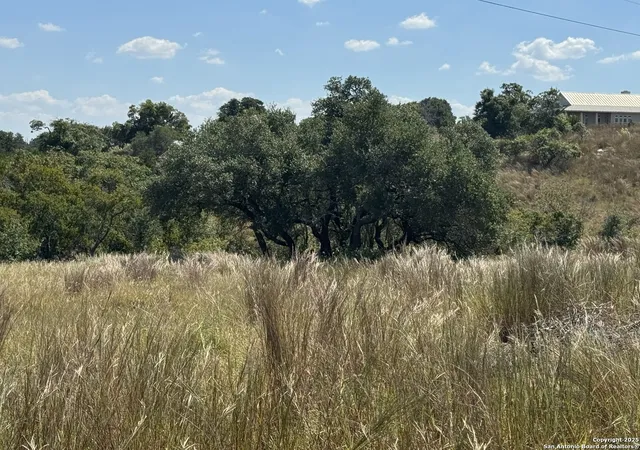 62nd image of 872 Oak Dr, Blanco, TX 78606 | MLS# 1912090