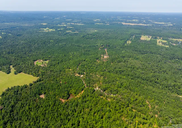 Photo 2 of Land for sale at 554 Vz County Road 4815, Lampasas, TX 75758 | MLS# 1912098 | Listing updated on 2025-11-29
