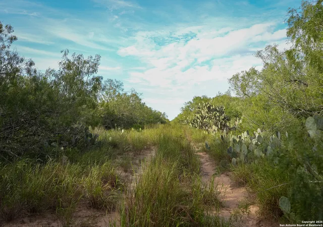 Photo 4 of Sale Pending at Tbd County Rd 243, Lampasas, TX 78349 | MLS# 1912261 | Listing updated on 2026-02-06