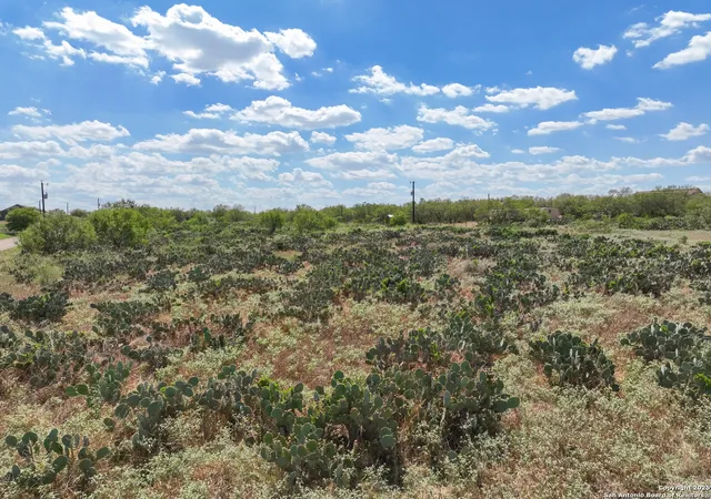 5th image of 311 County Road 1647, Moore, TX 78057 | MLS# 1912604