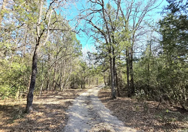 Homes for sale in Dale, TX | 113 Morgan, Dale, TX 78616 | MLS# 1912792