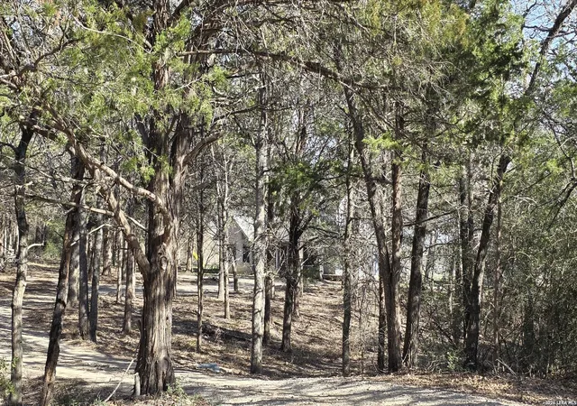 5th image of 113 Morgan, Dale, TX 78616 | MLS# 1912792