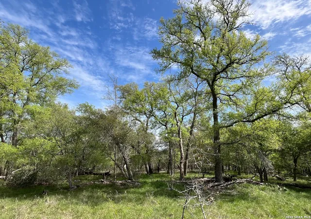4th image of Tbd Cunningham Dr, Lockhart, TX 78644 | MLS# 1912855
