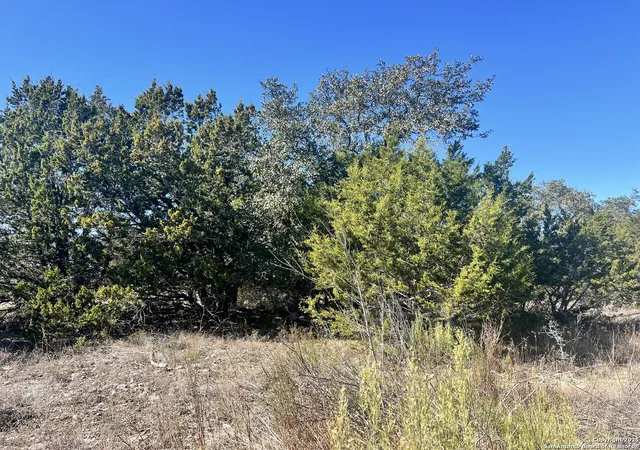 Photo 2 of Land for sale at 422 Eider Cove, Spring Branch, TX 78070 | MLS# 1912872 | Listing updated on 2026-07-06