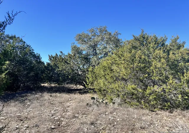 Photo 4 of Land for sale at 422 Eider Cove, Spring Branch, TX 78070 | MLS# 1912872 | Listing updated on 2026-07-06