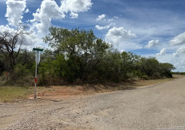 4th image of 220 County Road 4401, Dilley, TX 78017 | MLS# 1913405