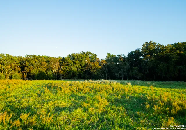 4th image of 14926 County Road 438, Lindale, TX 75771 | MLS# 1913565