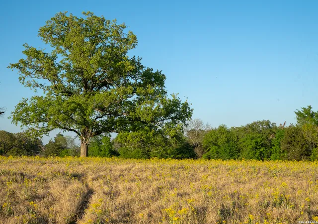 34th image of 14926 County Road 438, Lindale, TX 75771 | MLS# 1913565
