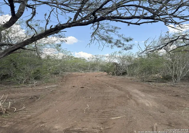 Photo 2 of Land for sale at 4700 Fm  3196, San Diego, TX 78384 | MLS# 1913669 | Listing updated on 2025-10-19
