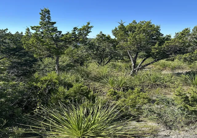 Photo 2 of Sale Pending at 593 Ledgeview, Canyon Lake, TX 78133 | MLS# 1913888 | Listing updated on 2026-09-30