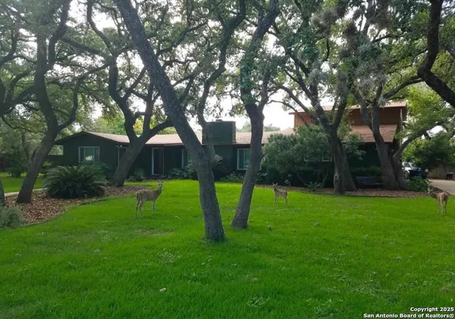 Photo 3 of Sale Pending at 227 Palo Grande, San Antonio, TX 78232 | MLS# 1914824 | Listing updated on 2025-11-26